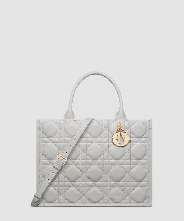 [DIOR-디올] Dior Book Tote 미디엄 백 M1324OWHP