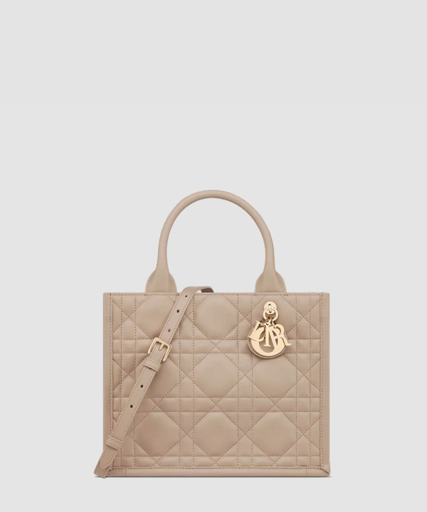 [DIOR-디올] Dior Book Tote 스몰 백 M1325OWHP