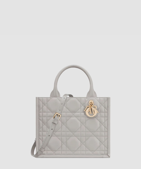 [DIOR-디올] Dior Book Tote 스몰 백 M1325OWHP