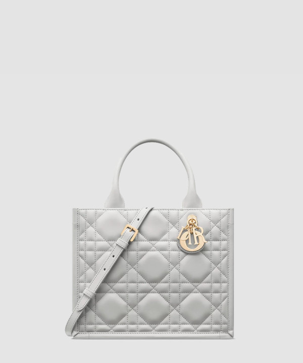 [DIOR-디올] Dior Book Tote 스몰 백 M1325OWHP
